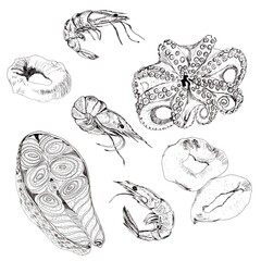 Set of graphick seafood illustration. Octopus, salmon, squid rings and shrimp hand drawing isolated illustration, white background.