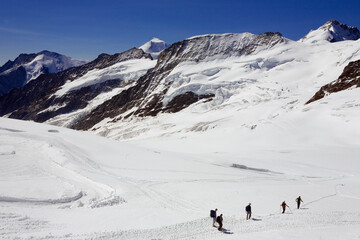 Fototapeta na wymiar Roped climbers on the Jungfraufirn glacier with beyond, the Kranzberg and in the distance the Aletschhorn, the Gletscherhorn and the Dreieckhorn: Bernese Oberland, Switzerland
