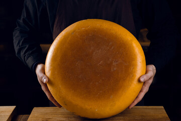 Big yellow cheese wheel in seller hands in the store. Holding round cheese.