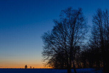 Night sunset on the background of trees and fields.