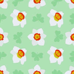 White daffodils seamless pattern on a green background with clover leaves. Beautiful spring flowers. Vector illustration.