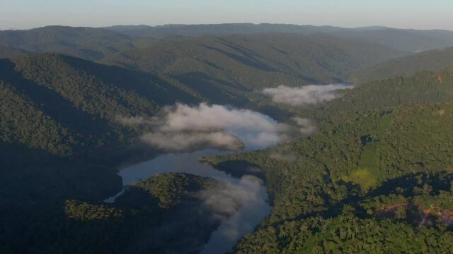 Mata Atl&acirc;ntica pela manh&atilde; com n&eacute;voa / Atlantic Forest in the morning with fog