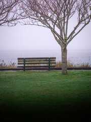 Foggy Landscape with Bare Cherry Tree and Empty Bench in Empty Nantucket Island Beach Park in the Morning.