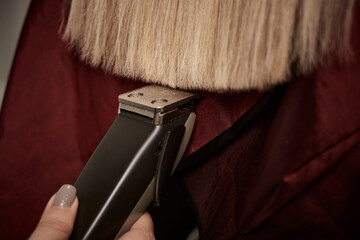 Close-up of a hairdresser hand cutting the ends of her blonde hair with an electric razor. Beauty...