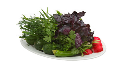 Fresh garden herbs and vegetables in white oval bowl isolated