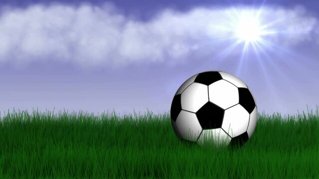 Rolling SOCCER Balls on the Grass Field Animation, 4k
