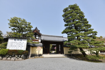 Obraz premium 等持院 山門 京都市