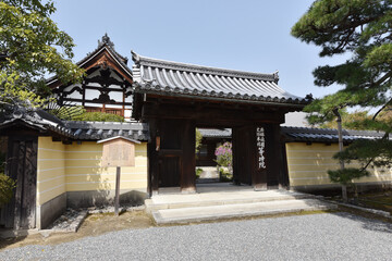 Fototapeta premium 等持院 山門 京都市