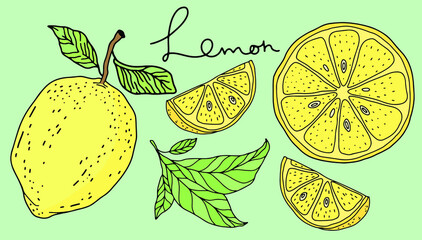 Lemons citrus doodle set outline vector  