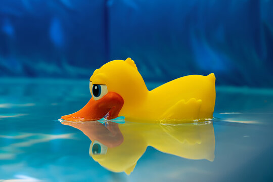 A lone yellow duck thermometer in an inflatable pool is doing its job. Close-up photo against a blue frame of the pool and crystal clear water
