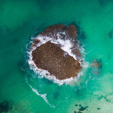 Reef