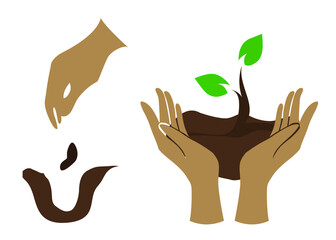 The hand that was planting the seed and the hand that was holding the seedling