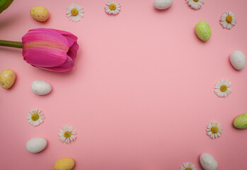 Colorful Easter eggs and flower on pink background. Spring holidays concept