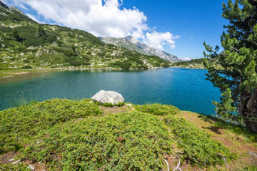 Fish Banderitsa lake at Pirin Mountain, Bulgaria