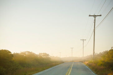 USA, Massachusetts, Cape Cod, Nantucket Island, Empty country road at sunrise