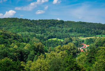 Naklejka na ściany i meble Aerial shot of a wonderful green forest with fresh trees and a tiny town