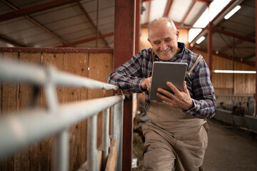 Portrait of senior farmer using tablet computer and observing domestic animals in farmhouse.