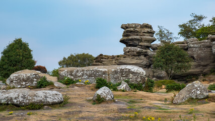 Scenic view of Brimham Rocks in Yorkshire Dales National Park