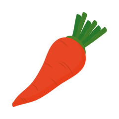 carrot vegetable icon