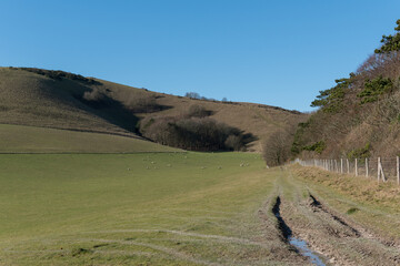 Countryside around Folkington in East Sussex