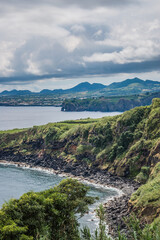 Selective focus on a tree along the cliff with a rocky beach with mountains on the horizon, S&atilde;o Miguel - Azores PORTUGAL