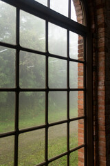 window at forest