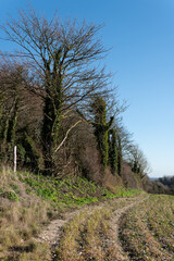 Countryside around Folkington in East Sussex