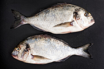 Raw dorado fish with spices on black slate background. Fresh fish dorado. 