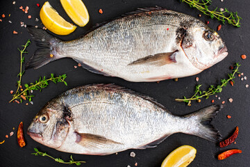 Raw dorado fish with spices on black slate background. Fresh fish dorado. 
