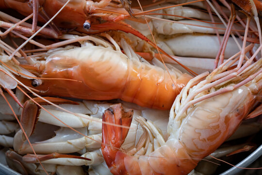 Closeup Seafood Platter Lunch In Thailand Summer Vacation Overhead Shot. Cooked  Crab Prawns On Ice And Wooden Background. Tasty Ocean Gourmet Dining Background Concept