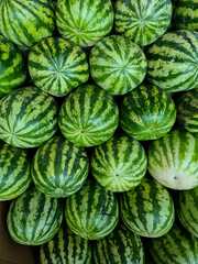 Melancias verdes empilhas em um centro de distribuição de frutas