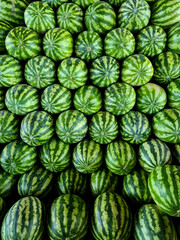 Melancias verdes empilhas em um centro de distribuição de frutas