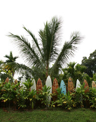 Hawaiian surfboard fence surrounding a yard © mike ledray