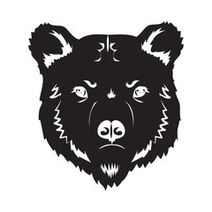 wild bear face