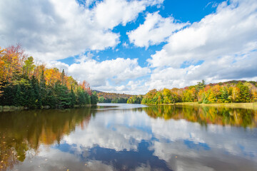 autumn landscape with lake