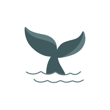 whale tail icon, vector color line illustration