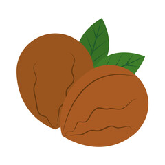 hazelnuts and leaves