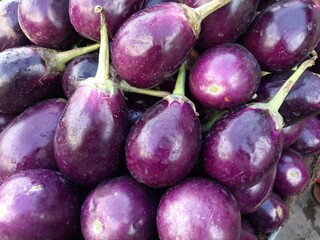 stock of brinjal vegetable bird's-eye view
