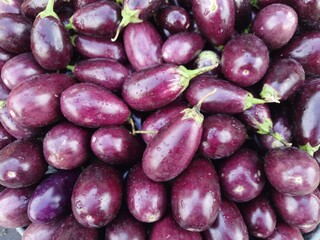 stock of brinjal vegetable bird's-eye view
