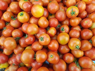stock of tomato bird's-eye view