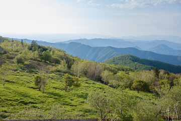 美ヶ原高原から眺める上田地域の風景