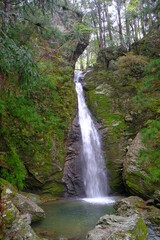 Fototapeta na wymiar beautiful waterfall in the green