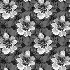 Seamless pattern with flower orchid. Pencil drawing illustration. The print is used for Wallpaper design, fabric, textile, packaging.