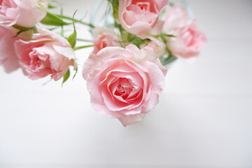 Spring concept. Closed up Pink roses on white background for spring event, mother's day and wedding design. ピンクバラのクローズアップ、春のイベント、母の日、結婚イベント背景
