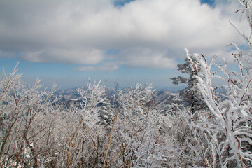 Memories and Travel Beauty