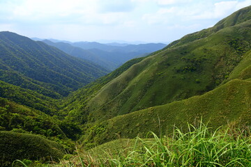 Famous Matcha (Green Tea) Mountain, Shengmu Hiking Trail (Marian Hiking Trail), Jiaoxi, Yilan,...