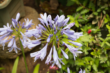 Memories and Travel Beauty