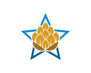 Simple star shape with brewery beer inside