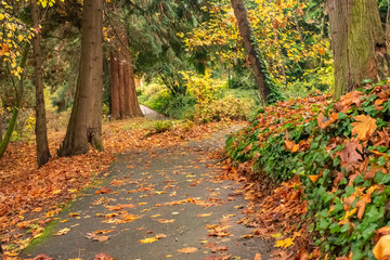 Paved walking trail through woods and fall foliage