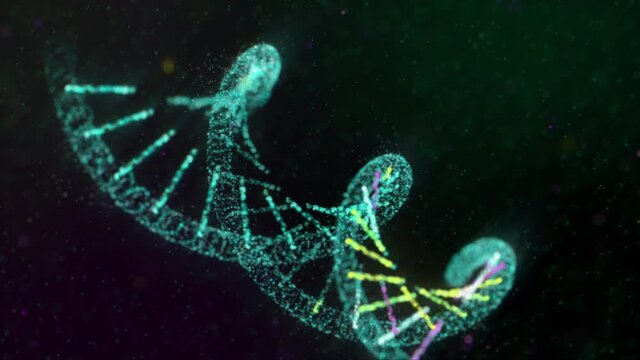 Modern Research Software. Analyzing the Patient`s DNA Disease. The DNA Strand is Slowly Building. Lines in White, Pink and Yellow Colors are Appearing consecutively. Medical Research Laboratory.